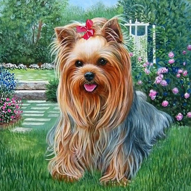 Diamond Painting 30*40cm ZY811-ZY827